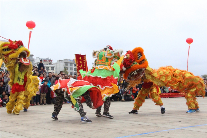 龙狮大赛舞狮精彩场面.jpg