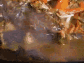 640(15).gif