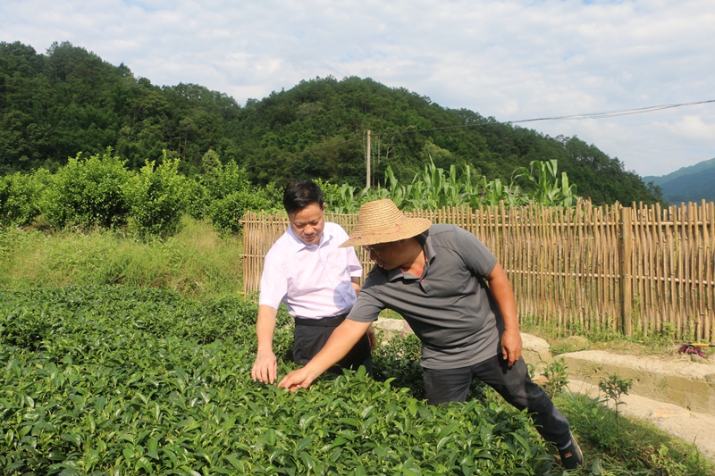 7.203.jpg