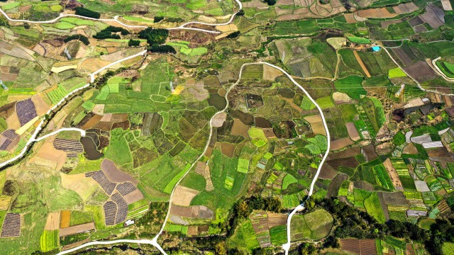 W020220328661031363975.jpg