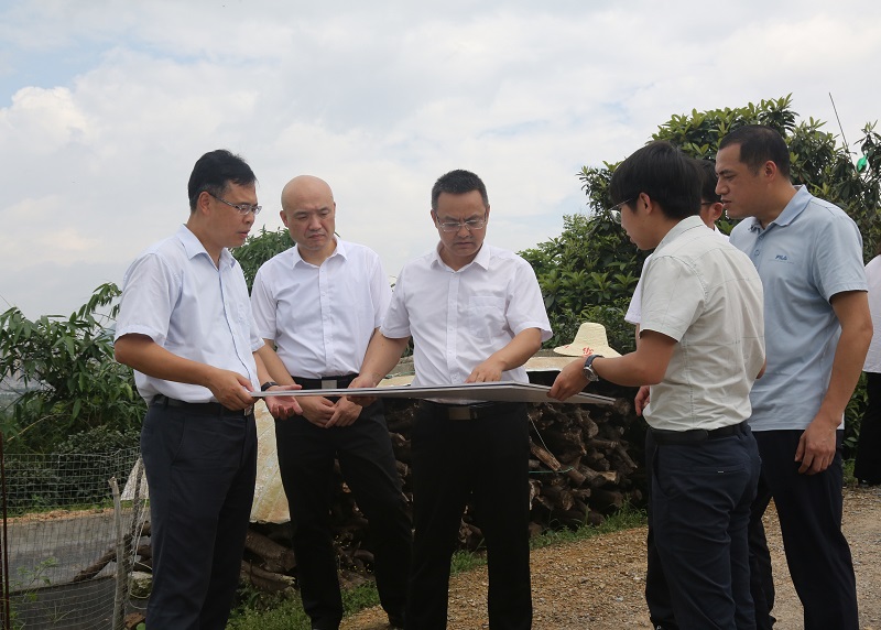 网站:魏军韩(左三)调研贺州市城东体育综合体项目建设情况.jpg